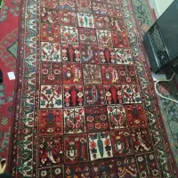 فرش|فرش|یاسوج, |دیوار