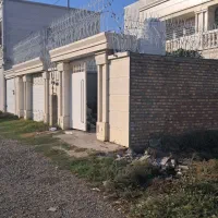 حفاظ شاخ گوزنی