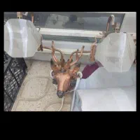 روشنایی گازی