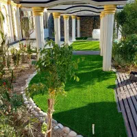 اجرا نصب وپخش عمده چمن|مصالح و تجهیزات ساختمان|دزفول, |دیوار