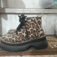 تعدادی دمپایی|کیف، کفش، کمربند|زنجان, |دیوار