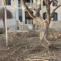 هرس کردن باغچه گلکاری شخم زنی  تعویضی گلدون