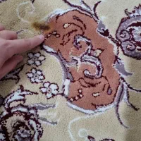 یک عدد فرش نه متری زرشکی و دو جفت پشتی زرشکی۴۴۰۰|فرش|بومهن, |دیوار