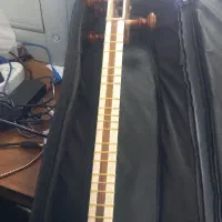 تار ایرانی|سازهای سنتی|زنجان, |دیوار