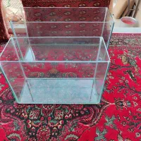 اکواریوم ماهی سالم و تمیز