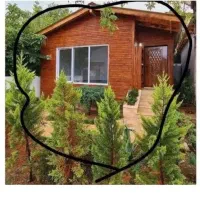 کلبه جنگلی /۱۶۰ زمین ویو جنگل به قیمت /جاده دریا