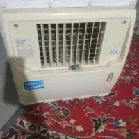 کولرابی الکتروژن
