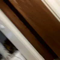 یخچال TCL|یخچال و فریزر|اصفهان, سیچان|دیوار