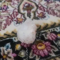 سنگ کریستالی