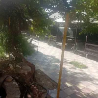 به همکار خانم آراسته و خوش زبون نیازمندیم