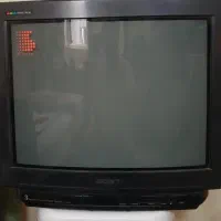 تلویزیون