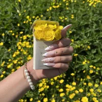 مدل ناخن|خدمات آرایشگری و زیبایی|رشت, نامجو|دیوار