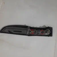 کبوتر معاوضه