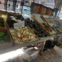 پالت میوه|فروشگاه و مغازه|تهران, مهرآباد جنوبی|دیوار