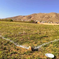 فرصتی استثنایی و کمیاب1461متر زمین مسکونی زیر قیمت