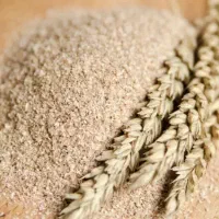 سبوس گندم ویزیتکا درجه یک مناسب خوراک دام