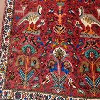 قالی محلی|فرش|شیراز, وزیرآباد|دیوار