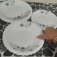 سرویس ارکوپال درحدنونو