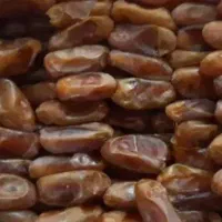 خرمای شاهانی داراب