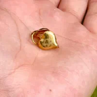 طلاهای سبک شیک ونو|جواهرات|یاسوج, |دیوار