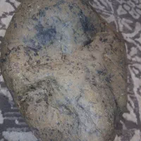 شهاب سنگ مریخی