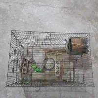 قفس بزرگ کوچک مفت