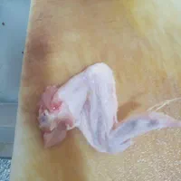 بال.و.کتف|خوردنی و آشامیدنی|کرمانشاه, |دیوار