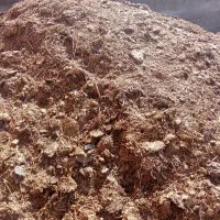 کود. گوسفند