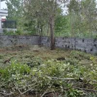 فروش زمین بافت  ۳۶۴ متری دوجمان محله تهرانی نشین|فروش زمین و ملک کلنگی|هچیرود, |دیوار