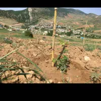 زمین با موقعیت عالی