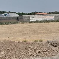 زمین کشاورزی به متراژ۵۰۰۰مترباسندومدارک کامل|فروش زمین و ملک کلنگی|قرچک, داوود آباد|دیوار
