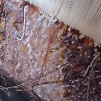 فرش دستباف نیمه کاره|فرش|خوی, |دیوار