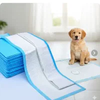 دروشیت / زیرانداز بهداشتی ۵ عددی