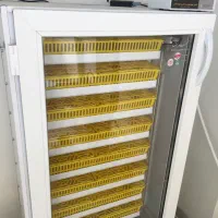 دستگاه جوجه کشی مشهد برق