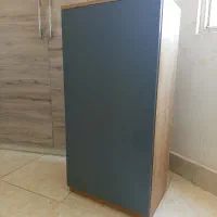 جاکفشی