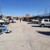 نیروی استاد کار مجرب