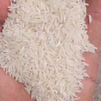 فجر سوزنی درجه یک|خوردنی و آشامیدنی|گرگان, |دیوار