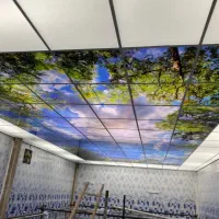 تولیدوچاپ انواع تایلهای آسمان مجازی و باریسول