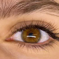 خدمات اکستنشن‌مژه ،فیبروز ابرو ،شیدینگ‌ لب ،بن مژه