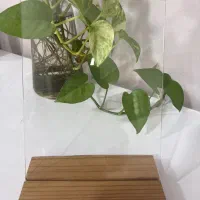 تابلو عکس شیشه ای موزیکال