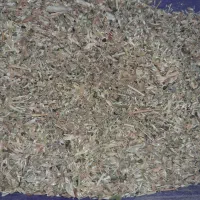 کاه (سامان) عدس و سیاه‌دانه- تمیز. بسته بندی شده