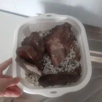 آکواریوم|لوازم جانبی حیوانات|پرند, فاز ۶|دیوار