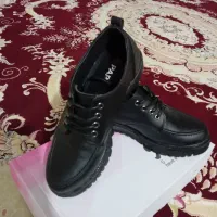 کفش|کیف، کفش، کمربند|مرند, |دیوار