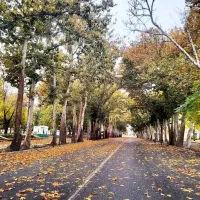 اجاره روی همکف 2خوابه باجک 3