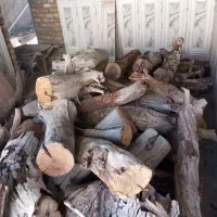 چوب گردو|مصالح و تجهیزات ساختمان|بیرجند, |دیوار