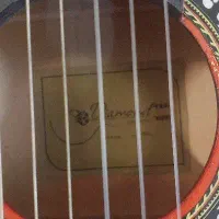 گیتار دیاموند