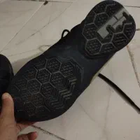 کفش بسکتبال|کیف، کفش، کمربند|گلبهار, شهر جدید گلبهار|دیوار