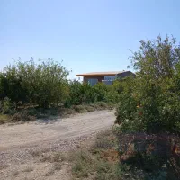 درختان بارده،با امنیت بسیار بالا