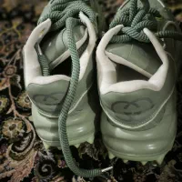 کفش|کیف، کفش، کمربند|یاسوج, |دیوار