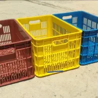 سبد میوه و سبزیجات